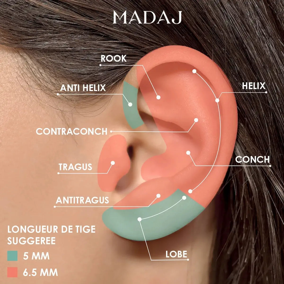 Longueur de tige suggerée pour piercing d'oreille