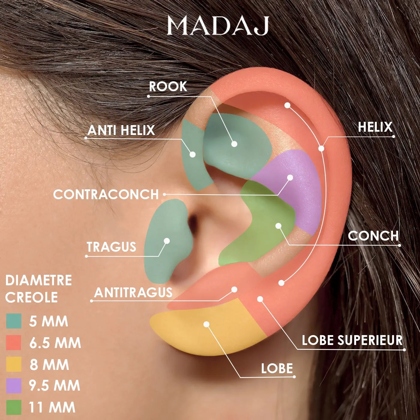 Diamètre de créole suggeré pour piercing d'oreille