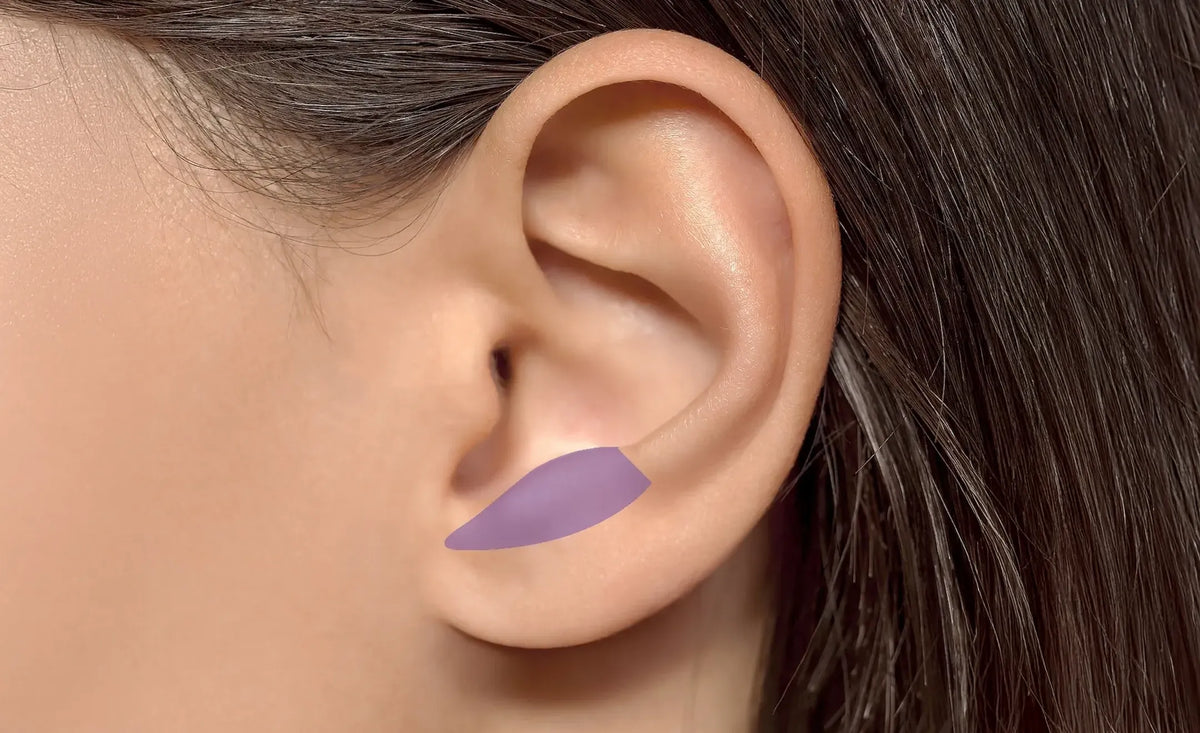 Close-up of a human ear with a purple curved highlighting the antitragus part of the ear