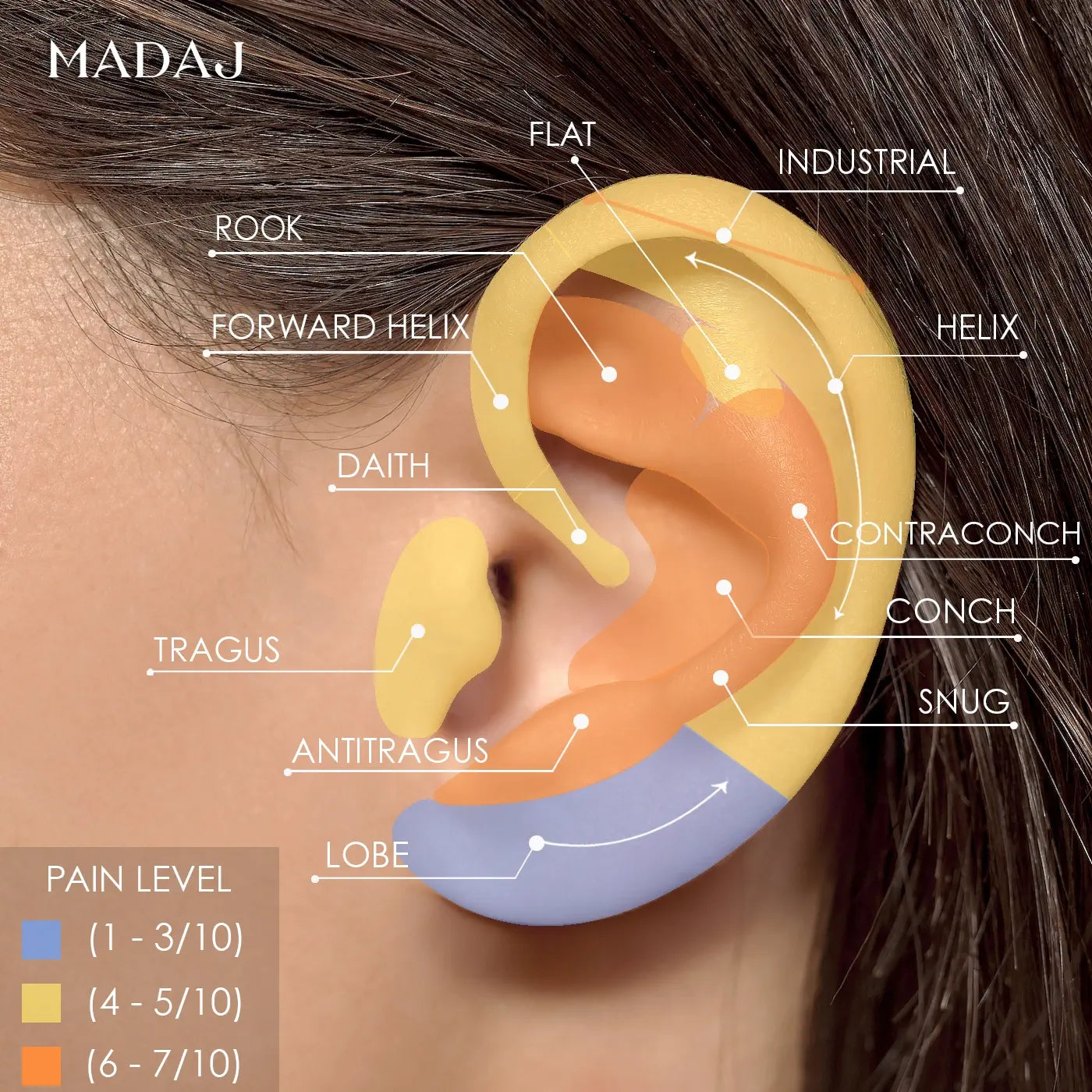 Ear Piercing Pain Chart Least To Most Painful Ear Piercings Pain Ear Piercing Pain Chart Least To Most Painful Ear Piercings Pain