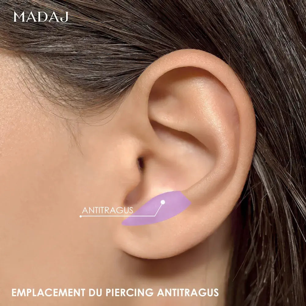 Emplacement du piercing antitragus