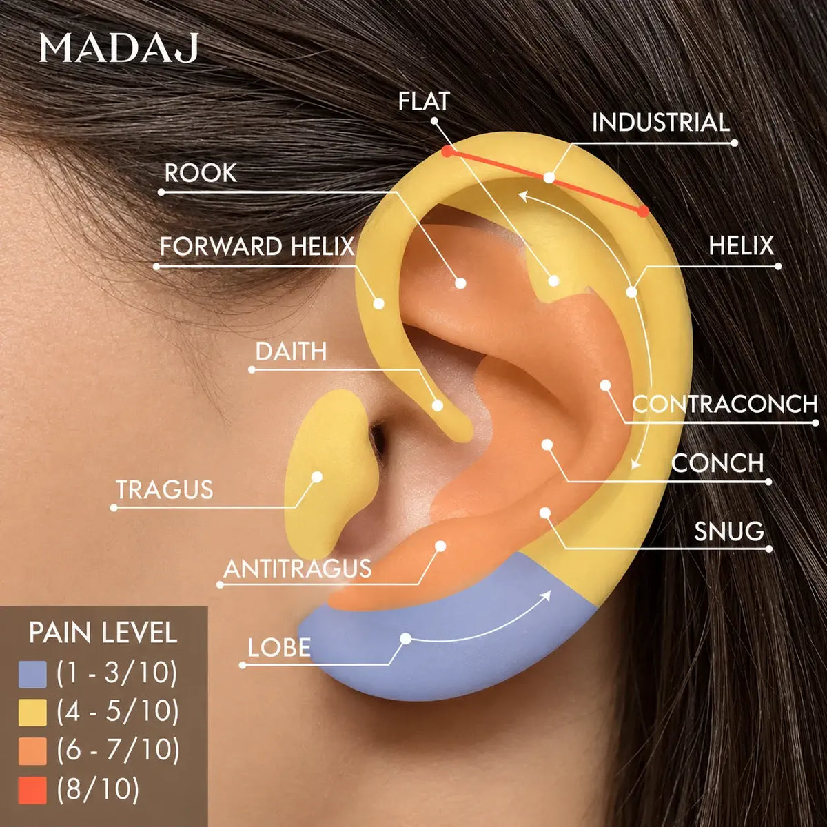 An educational diagram of the ear labeled with anatomical points such as flat, industrial, helix, contraconch, conch, snug, lobe, antitragus, tragus, daith, forward helix, and rook, colored in yellow, orange, and blue to indicate pain levels. The brand name 'MADAJ' is visible in the top left corner.