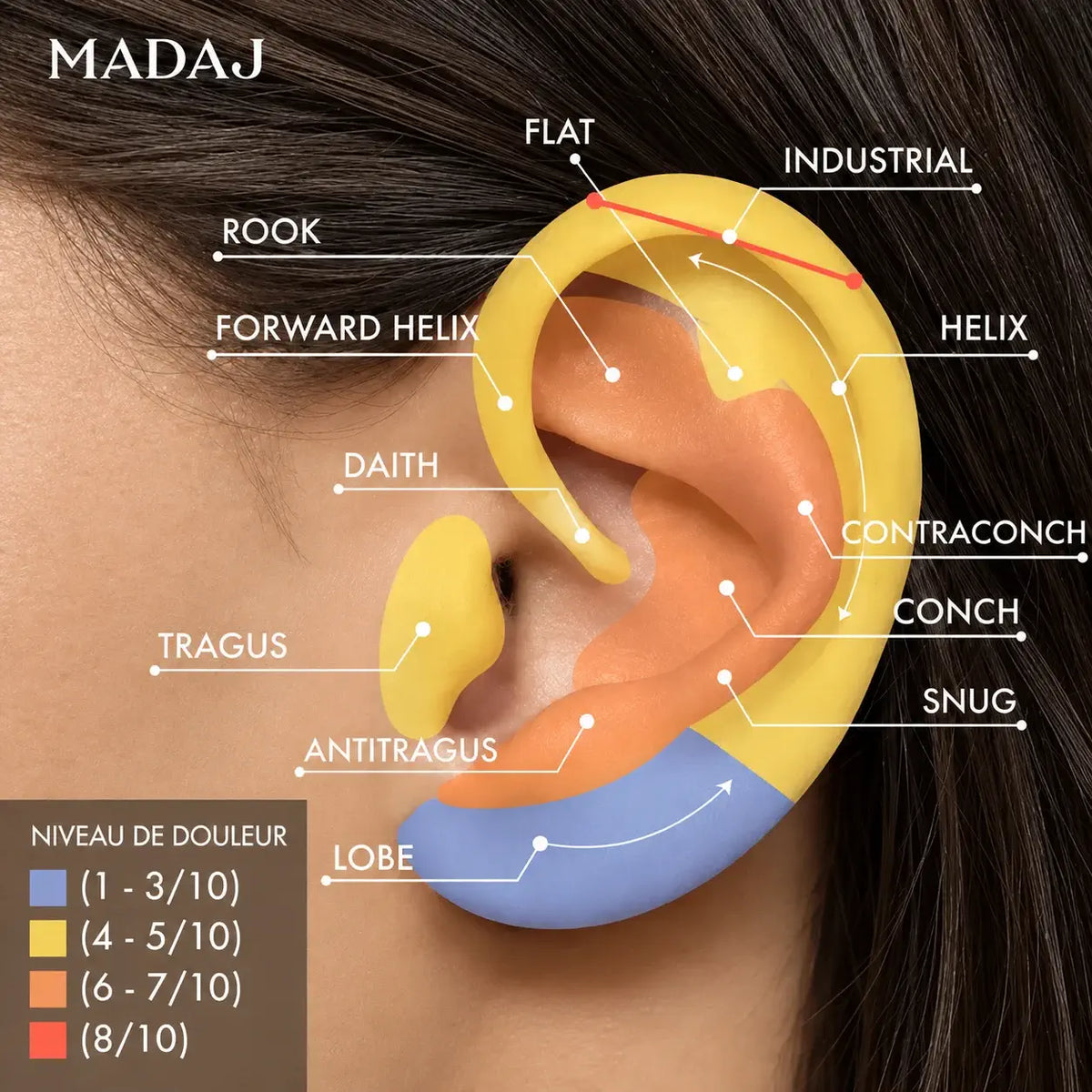 Un schéma éducatif de l'oreille avec des points anatomiques tels que le flat, l'industriel, l'hélix, le contraconch, le conch, le snug, le lobe, l'antitragus, le tragus, le daith, l'hélix avant et le rook, colorés en jaune, orange et bleu pour indiquer les niveaux de douleur, avec le nom de marque MADAJ visible dans le coin supérieur gauche.