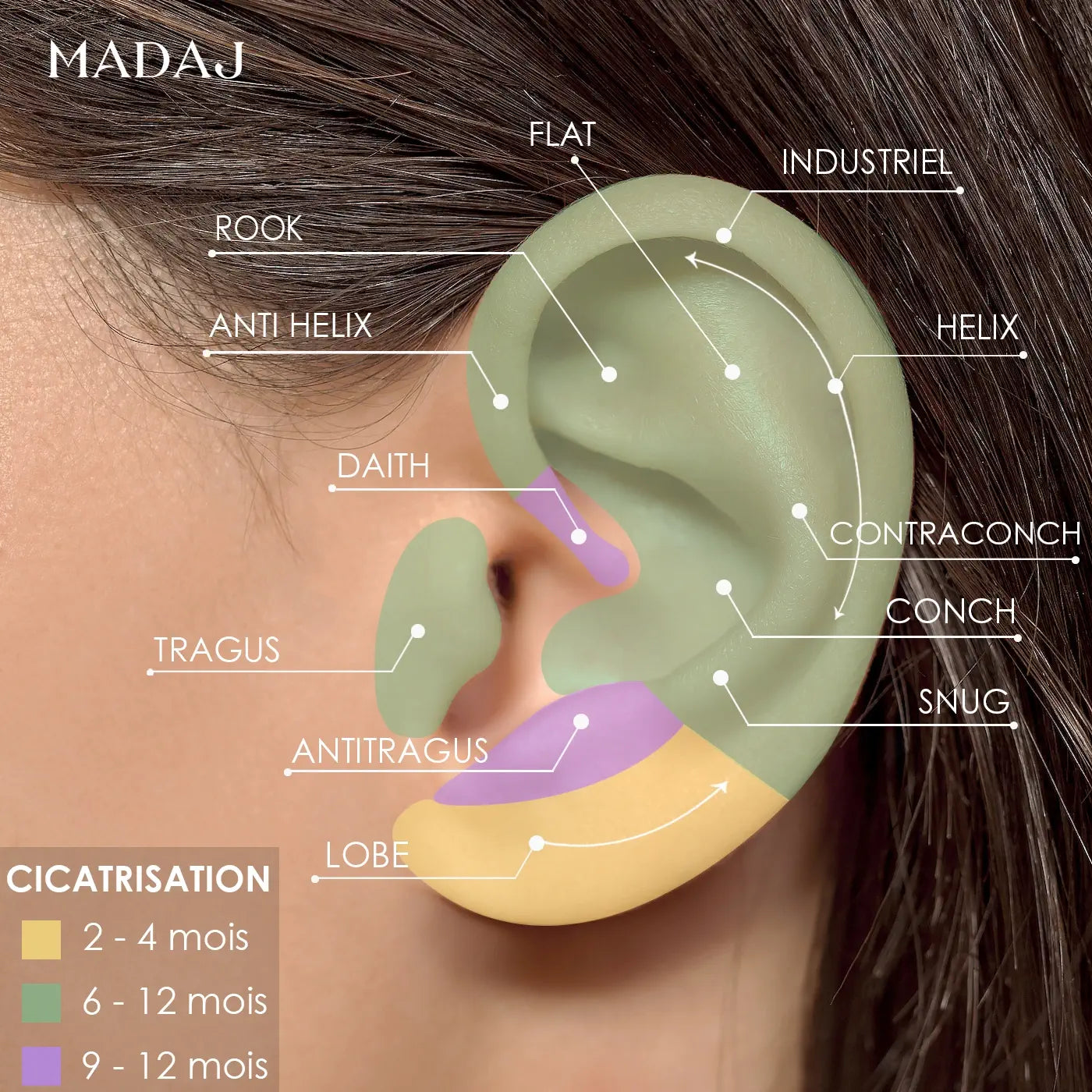 Temps de Cicatrisation des Piercings d'Oreille