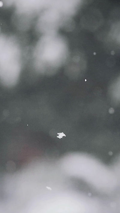 Homepage Cyber Week Mobile 