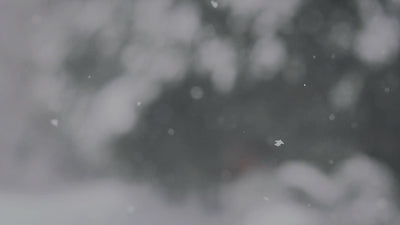 Cyber Week Homepage Banner